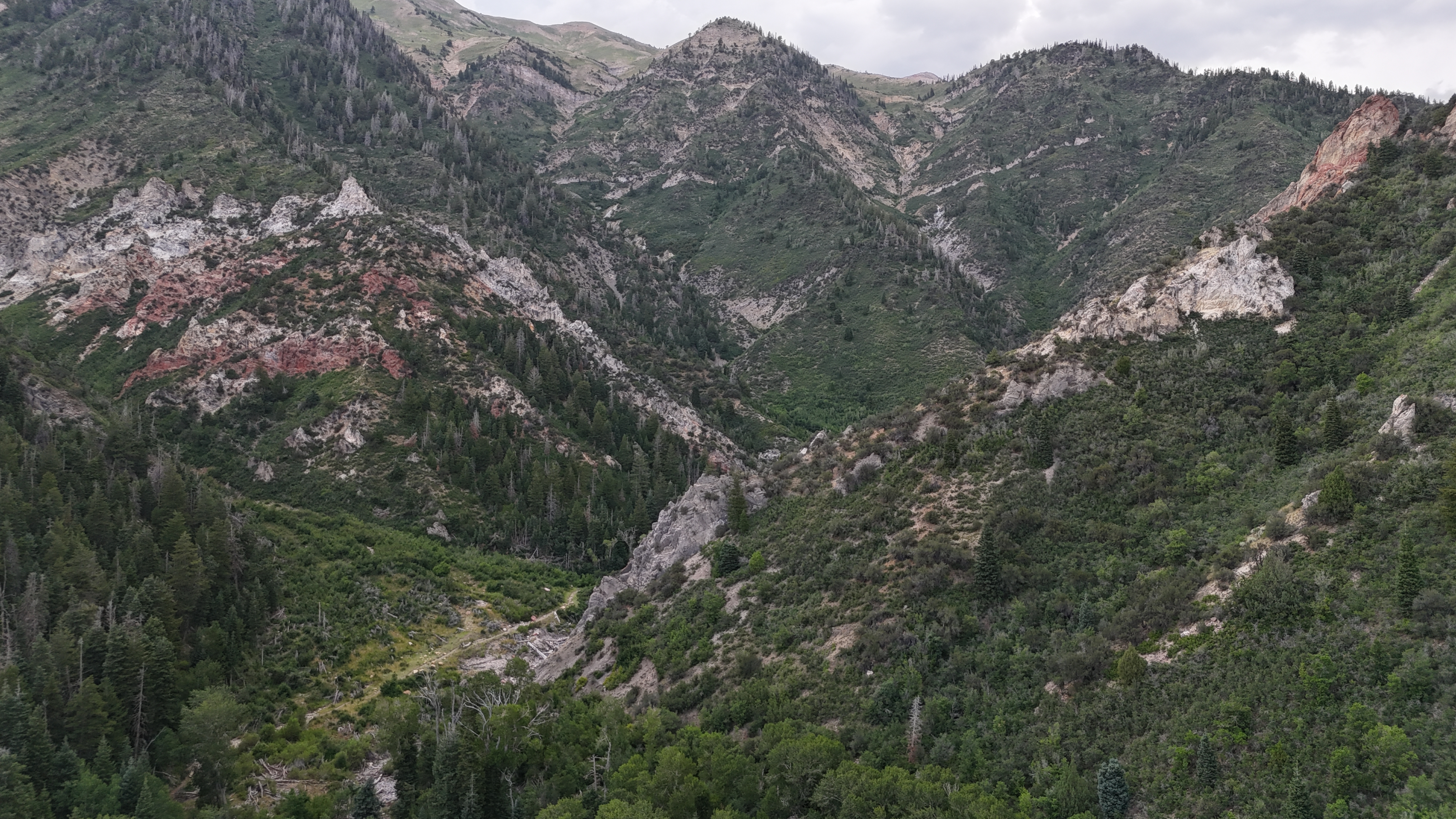 Bear Canyon Campground