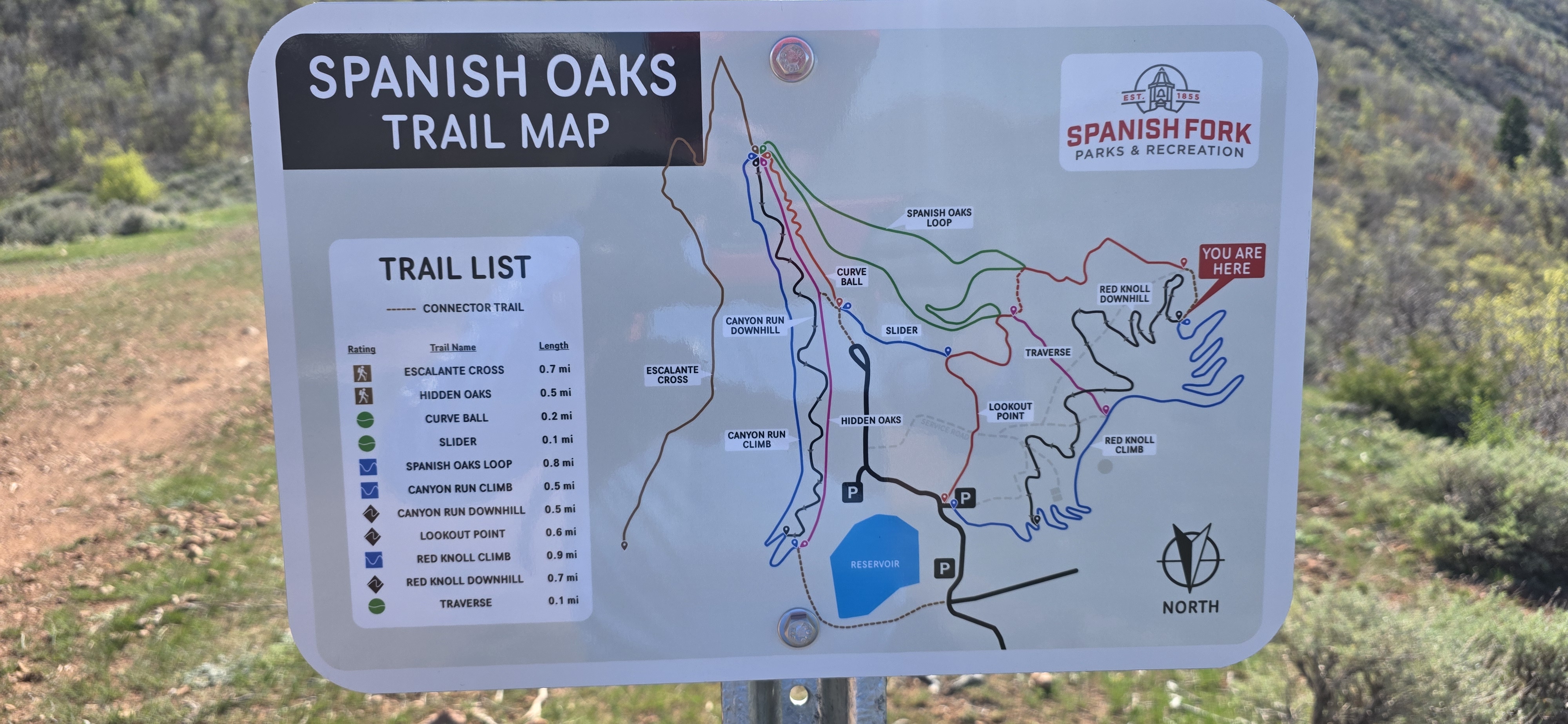 Spanish Oaks